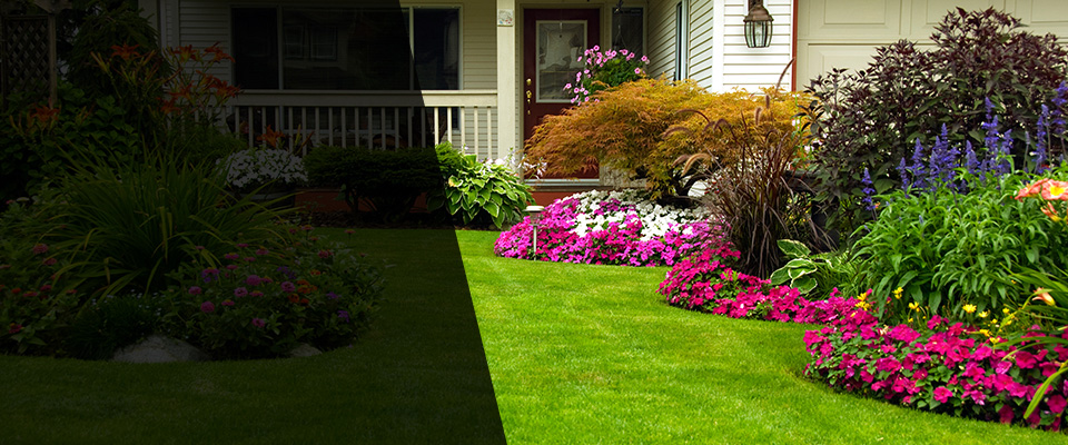 Dobbs Ferry Landscapers