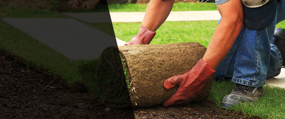 Dobbs Ferry Landscapers